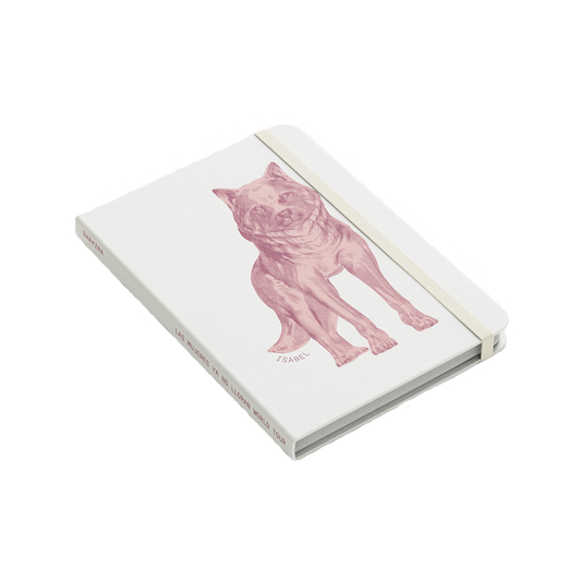 Isabel Notebook