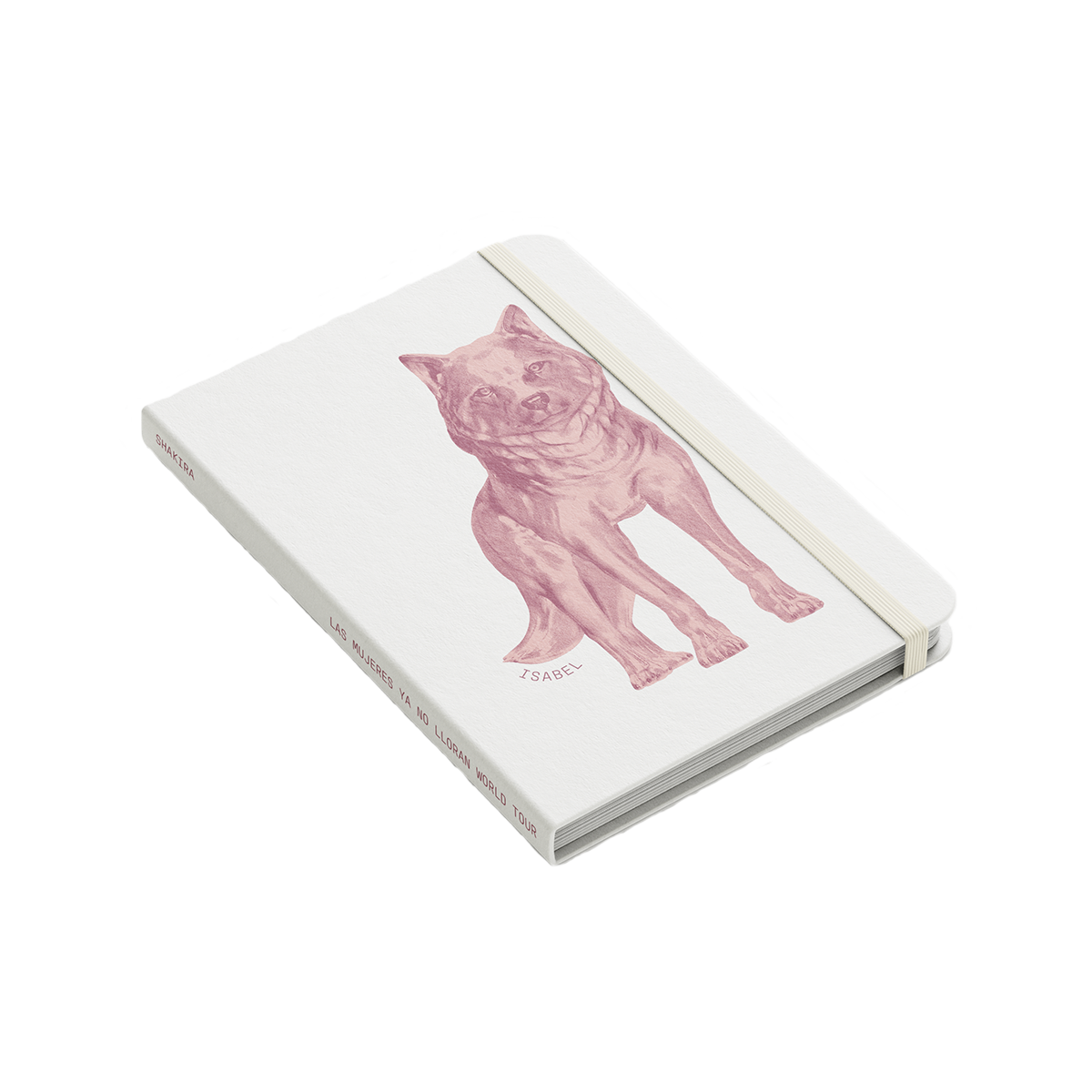 Isabel Notebook